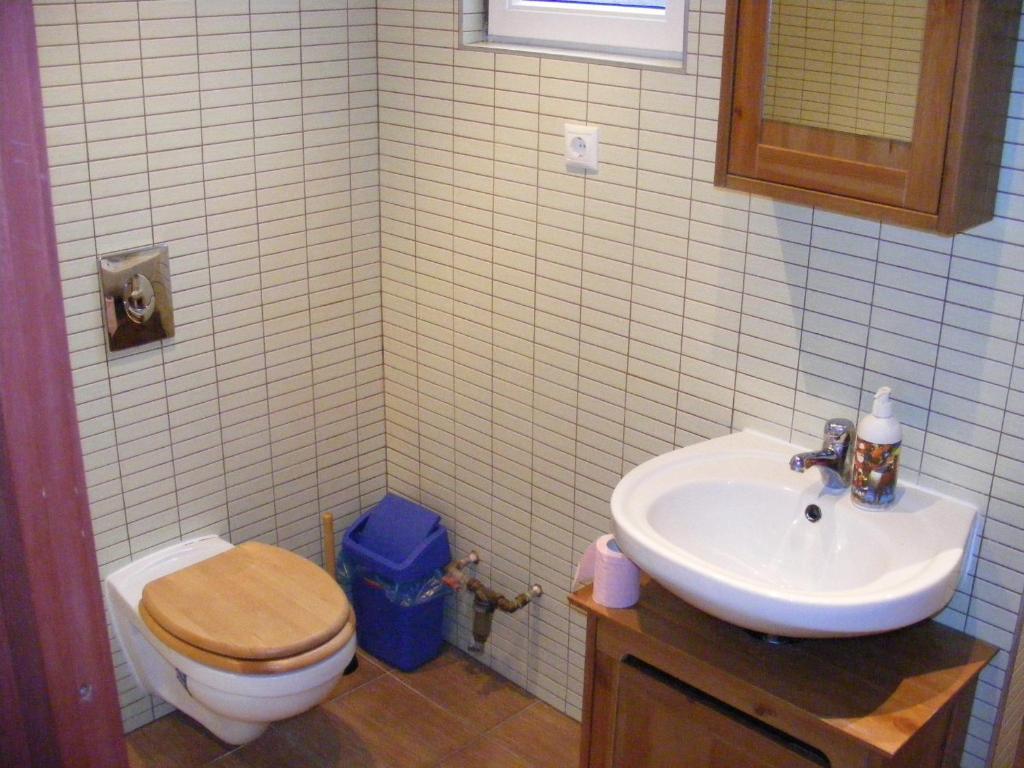 Palatinus Apartment Budapesta Cameră foto